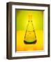 Chemistry Beaker-Thom Lang-Framed Photographic Print
