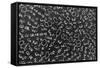 Chemistry Formulas on Black Chalkboard-pashabo-Framed Stretched Canvas