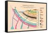 Chemistry of Geology-Edward L. Youmans-Framed Stretched Canvas