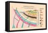 Chemistry of Geology-Edward L. Youmans-Framed Stretched Canvas