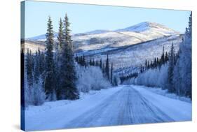 Chena Hot Springs Road.Fairbanks,Alaska,Usa-Christian Heeb-Stretched Canvas