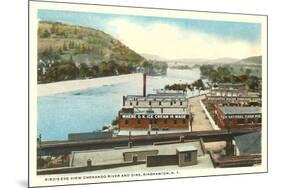 Chenango River, Binghamton, New York-null-Mounted Premium Giclee Print