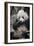 Chengdu Research Base of Giant Panda Breeding, Chengdu, Sichuan Province, China, Asia-Michael Snell-Framed Photographic Print