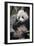 Chengdu Research Base of Giant Panda Breeding, Chengdu, Sichuan Province, China, Asia-Michael Snell-Framed Photographic Print