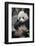 Chengdu Research Base of Giant Panda Breeding, Chengdu, Sichuan Province, China, Asia-Michael Snell-Framed Photographic Print