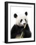 Chengdu-Contemporary Photography-Framed Giclee Print