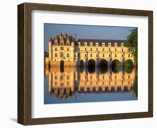 Chenonceau Chateau, Loire Valley, France-David Barnes-Framed Photographic Print