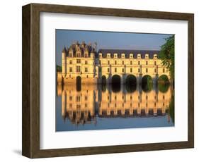 Chenonceau Chateau, Loire Valley, France-David Barnes-Framed Photographic Print