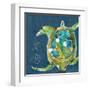 Chentes Turtle on Blue-Kellie Day-Framed Art Print