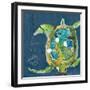 Chentes Turtle on Blue-Kellie Day-Framed Art Print