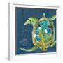 Chentes Turtle on Blue-Kellie Day-Framed Art Print