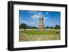 Cheomseongdae-Michael-Framed Photographic Print