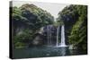 Cheonjiyeon Pokpo Waterfall, Island of Jejudo, UNESCO World Heritage Site, South Korea, Asia-Michael-Stretched Canvas