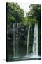 Cheonjiyeon Pompom Waterfall, Island of Jejudo, South Korea-Michael Runkel-Stretched Canvas
