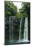 Cheonjiyeon Pompom Waterfall, Island of Jejudo, South Korea-Michael Runkel-Mounted Photographic Print