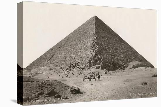 Cheops Pyramid and Camels-null-Stretched Canvas