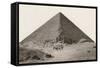 Cheops Pyramid and Camels-null-Framed Stretched Canvas