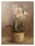 Emilia's Flowers-Cheovan-Art Print