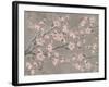 Cherbloom 1-Diane Stimson-Framed Art Print