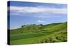 Cherhill White Horse-Nick Upton-Stretched Canvas