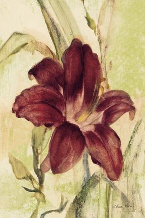 Cheri Blum Posters & Wall Art Prints | AllPosters.com