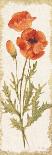 Poppy Panel Light-Cheri Blum-Art Print