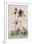 Gramercy White