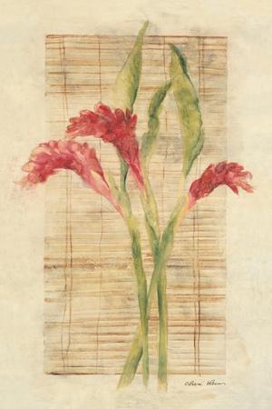 Cheri Blum Posters & Wall Art Prints | AllPosters.com