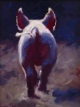 Tail End-Cheri Christensen-Framed Stretched Canvas