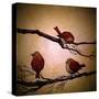 Stretched Canvas