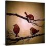 Stretched Canvas