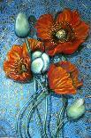 Orange Poppies on Blue-Cherie Roe Dirksen-Giclee Print