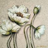 White Poppies On Pastel Pink Background-Cherie Roe Dirksen-Giclee Print