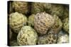 Cherimoya Fruit (Annona Cherimola)-Bjorn Svensson-Stretched Canvas