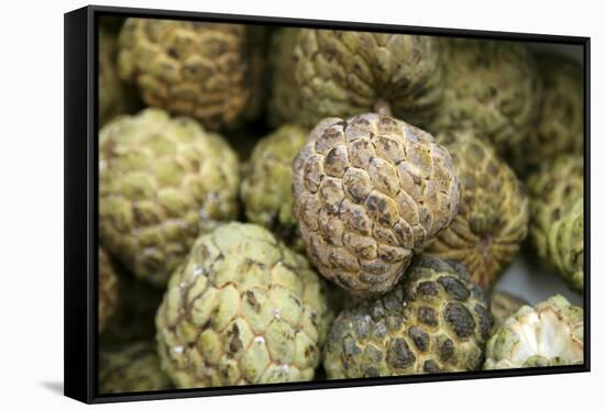 Cherimoya Fruit (Annona Cherimola)-Bjorn Svensson-Framed Stretched Canvas