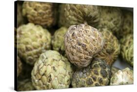 Cherimoya Fruit (Annona Cherimola)-Bjorn Svensson-Stretched Canvas