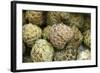 Cherimoya Fruit (Annona Cherimola)-Bjorn Svensson-Framed Premium Photographic Print