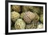 Cherimoya Fruit (Annona Cherimola)-Bjorn Svensson-Framed Photographic Print