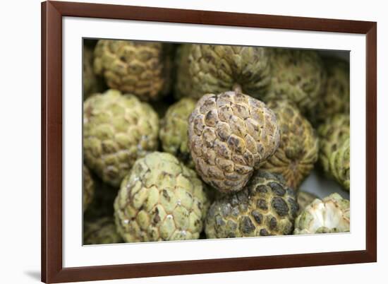 Cherimoya Fruit (Annona Cherimola)-Bjorn Svensson-Framed Photographic Print