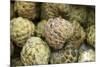 Cherimoya Fruit (Annona Cherimola)-Bjorn Svensson-Mounted Photographic Print