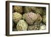 Cherimoya Fruit (Annona Cherimola)-Bjorn Svensson-Framed Photographic Print