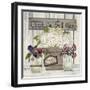 Cherish Flowers-Linda Spivey-Framed Art Print