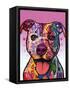 Cherish the Pitbull-Dean Russo-Framed Stretched Canvas