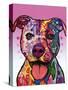 Cherish the Pitbull-Dean Russo-Stretched Canvas