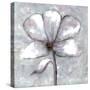 Cherished Bloom 3-Doris Charest-Stretched Canvas