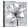 Cherished Bloom 3-Doris Charest-Stretched Canvas