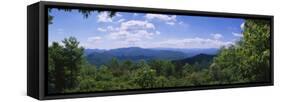 Cherohala Skyway, North Carolina Highway 143, Nantahala National Forest, North Carolina, USA-null-Framed Stretched Canvas