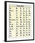 Cherokee Alphabet Developed by Sequoyah-null-Framed Giclee Print