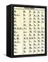 Cherokee Alphabet Developed by Sequoyah-null-Framed Stretched Canvas