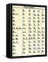 Cherokee Alphabet Developed by Sequoyah-null-Framed Stretched Canvas